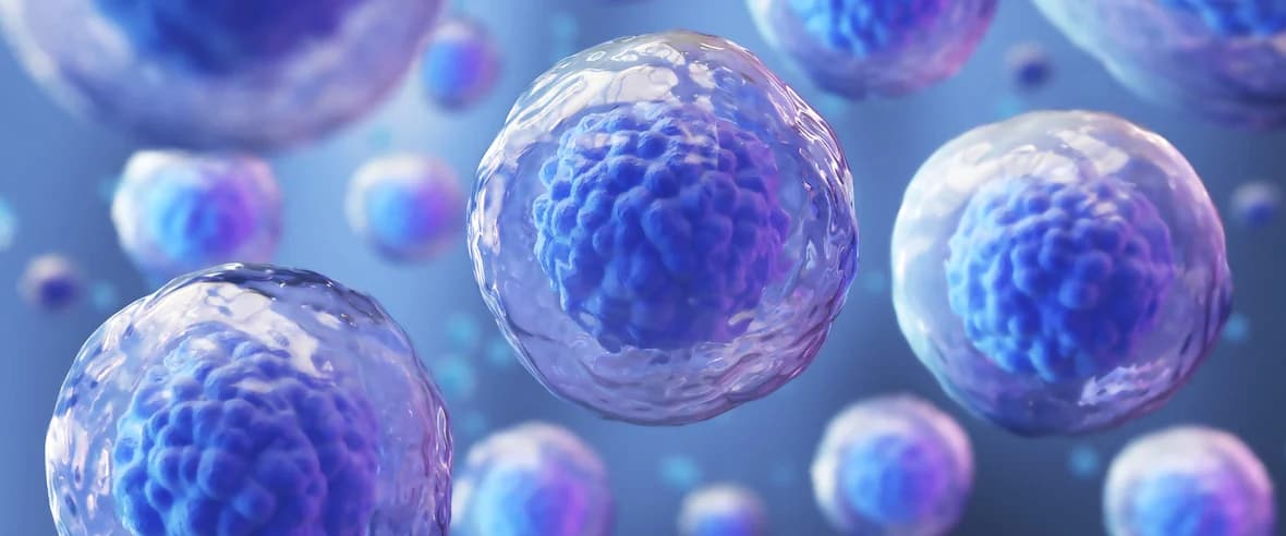 Microscopic-style representation of cellular components